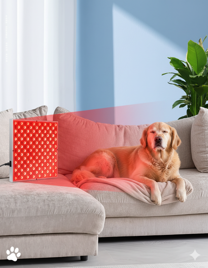 Serava™ USA Pet Red Light Therapy Panel